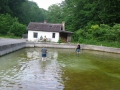 KM_Fischzucht_002
