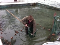 KM_Fischzucht_020