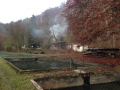 KM_Fischzucht_029