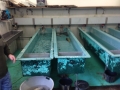 KM_Fischzucht_031
