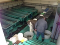 KM_Fischzucht_038